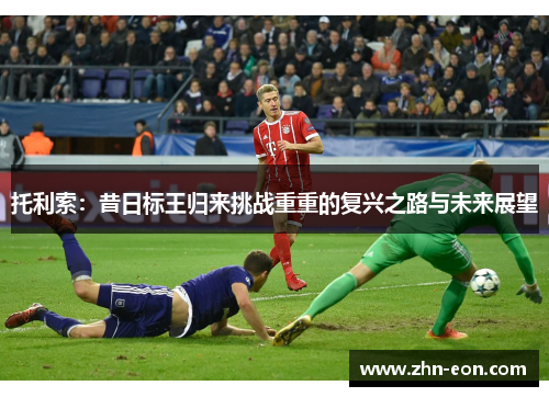 托利索：昔日标王归来挑战重重的复兴之路与未来展望