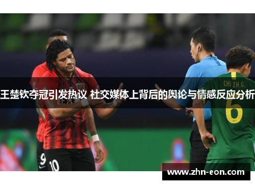 王楚钦夺冠引发热议 社交媒体上背后的舆论与情感反应分析