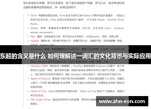 东超的含义是什么 如何理解这一词汇的文化背景与实际应用