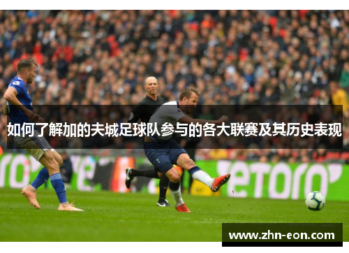 如何了解加的夫城足球队参与的各大联赛及其历史表现