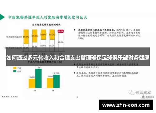 如何通过多元化收入和合理支出管理确保足球俱乐部财务健康